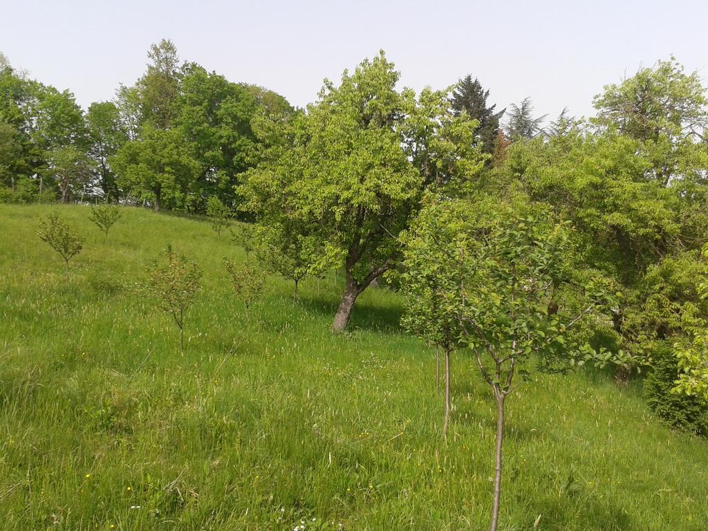 Country House Stoljetna Vila Seona Exterior foto